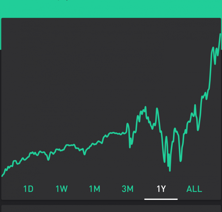 Robinhood earnings